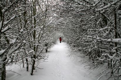 Narnia
Little red riding hood in Narnia.
Keywords: Landscape
