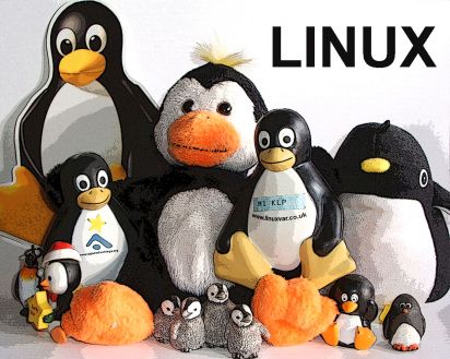 Buzz Mik's Penguins.
Miks Linux Penguins.
Keywords: Art