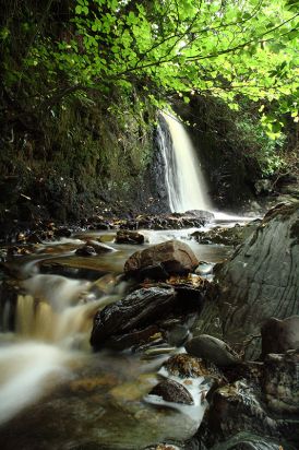 Waterfall
Somewhere in Scotland
Keywords: Landscapes