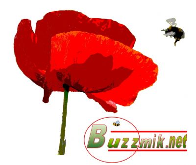 Buzzmik.net art work
Site logo.
Keywords: Art