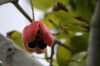 EOS_50D0336900x600.JPG