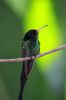 EOS_50D1011900x600.JPG