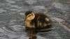 IMG_1720x640.JPG