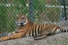 IMG_3109x888.JPG